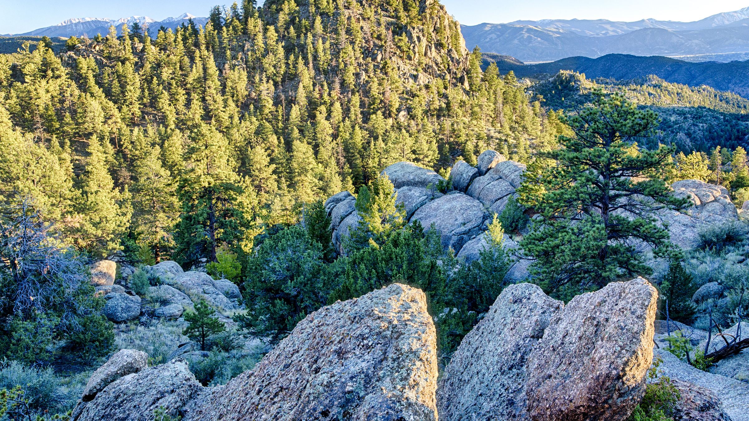 Granite crags and pine forest above the Arkansas River in Browns Canyon National Monument between Buena Vista and Salida, Colorado — the rugged heart of Chaffee County
